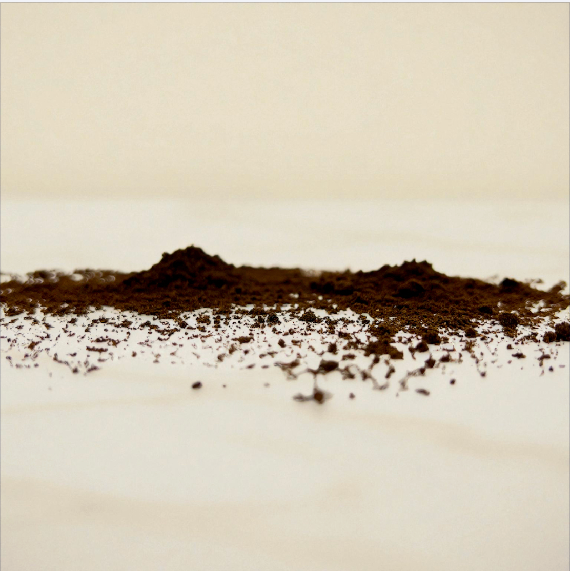 Bourbon Vanilla Powder – Ground from Whole Pods